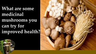 What are some medicinal mushrooms you can try for improved health?