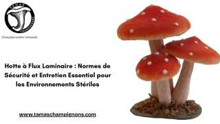 Hotte à Flux Laminaire : Normes de Sécurité et Entretien Essentiel pour les Envi