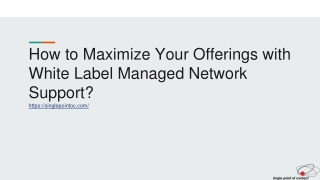 How to Maximize Your Offerings with White Label Managed Network Support?