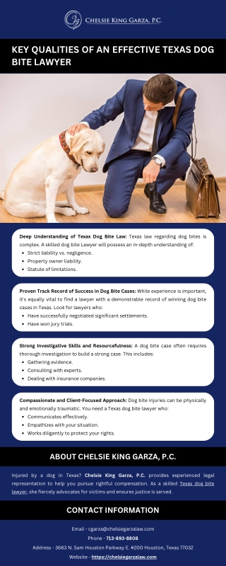 Key Qualities of an Effective Texas Dog Bite Lawyer