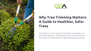 Why Tree Trimming Matters A Guide to Healthier, Safer Trees