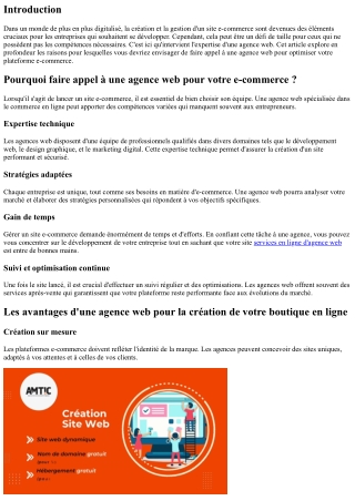 Pourquoi faire appel à une agence web pour votre e-commerce