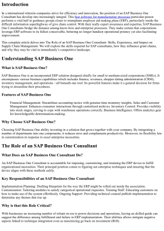 The Role of an SAP Business One Consultant: Skills, Experience, and Impact on Su