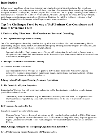 Top 5 Challenges Faced with the aid of SAP Business One Consultants and How to O