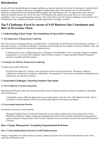 Top five Challenges Faced via SAP Business One Consultants and How to Overcome T