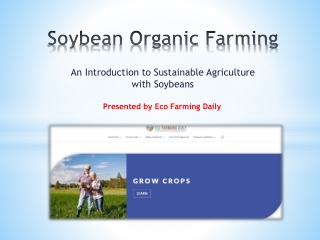 Organic Soybean Farming: A Sustainable Approach