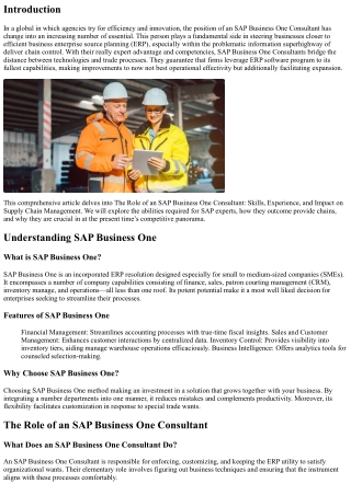 The Role of an SAP Business One Consultant: Skills, Experience, and Impact on Su