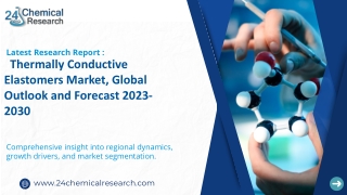 global Thermally Conductive Elastomers market
