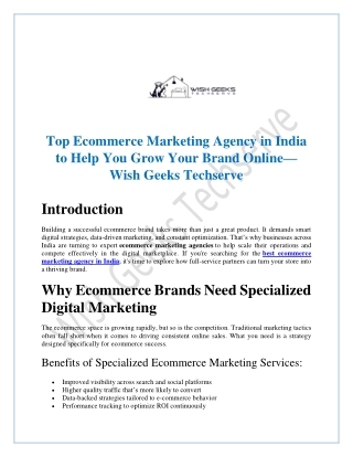Top Ecommerce Marketing Agency in India to Help You Grow Your Brand Online—Wish Geeks Techserve