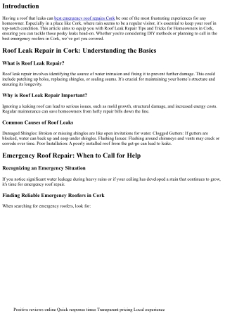 Roof Leak Repair Tips and Tricks for Homeowners in Cork
