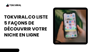 TokViral.co Liste 5 Façons De Découvrir Votre Niche en Ligne