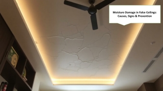 Moisture Damage in False Ceilings: What You Need to Know