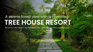 Experience Nature’s Luxury at a Tree House Resort