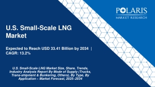 U.S. Small-Scale LNG Market