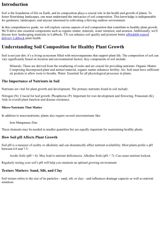 Understanding Soil Composition for Healthy Plant Growth