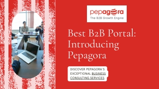 Scale Smart with Pepagora – The Best B2B Portal