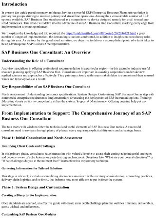 From Implementation to Support: The Comprehensive Journey of an SAP Business One