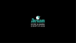 Avian Global July 2025