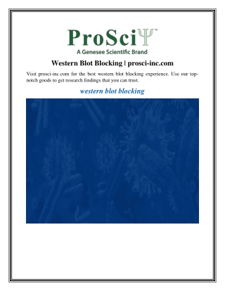western blot blocking prosci inc com