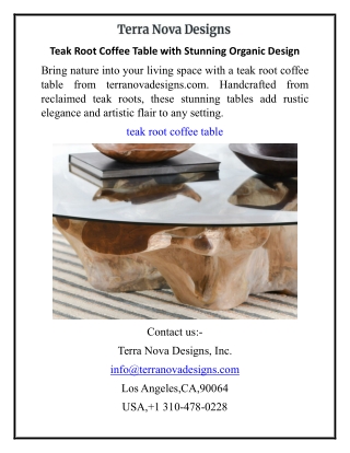 Teak Root Coffee Table with Stunning Organic Design