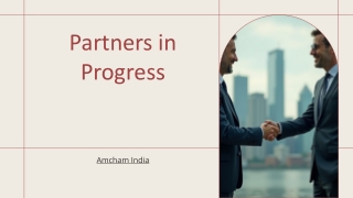 amcham india