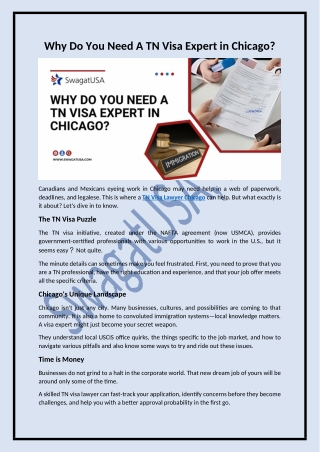 Why Do You Need A TN Visa Expert in Chicago?