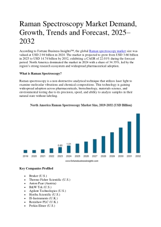 Raman Spectroscopy Market