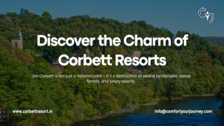 Book the Best Jim Corbett Resorts for a Wild Escape
