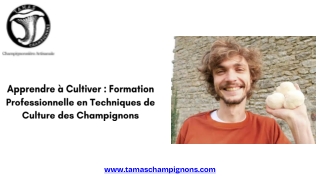 Apprendre à Cultiver : Formation Professionnelle en Techniques de Culture des Ch