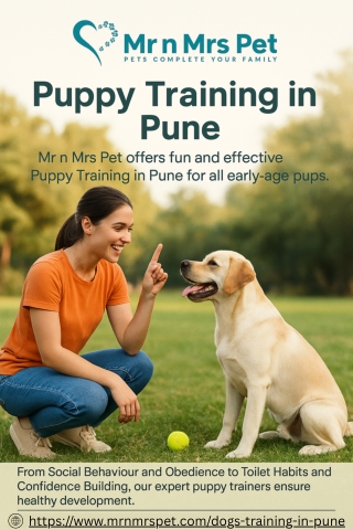 Puppy Training in Pune