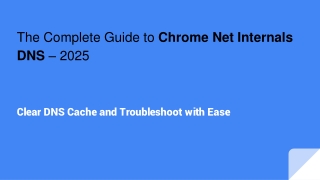 the complete guide to chrome net internals dns 2025