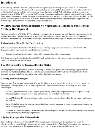 “Wildfire SEO’s Approach to Comprehensive Digital Strategy Development”