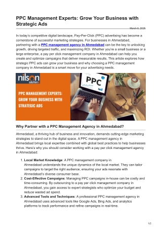 PPC Management Experts Grow Your Business with Strategic Ads