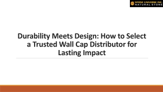Durability Meets Design: How to Select a Trusted Wall Cap Distributor