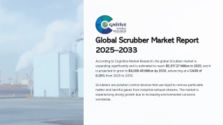 Global Scrubber Market Report 2025