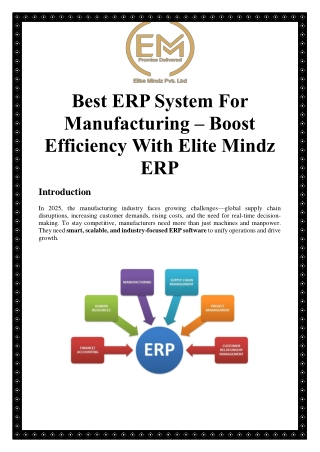 Best ERP System for Manufacturing | Elitemindz ERP Software