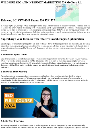 wildfire seo and internet marketing 720 mcclure rd