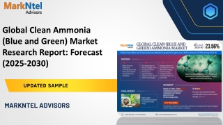Global Clean Ammonia (Blue and Green) Market Research Report: Forecast (2025-203