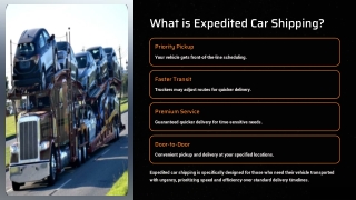 Expedited Car Shipping