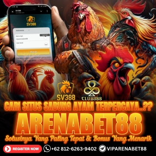 AGEN SABUNG AYAM ONLINE | BONUS SABUNG AYAM TERBESAR
