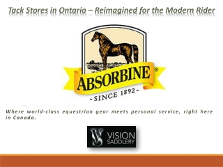 Tack Stores in Ontario – Reimagined for the Modern Rider