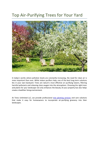 top air purifying trees for your yard