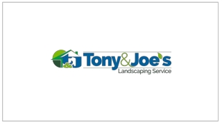 Customized Landscaping and Lawn Care Services in Reading, PA