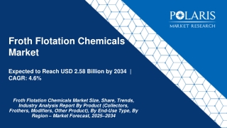 Froth Flotation Chemicals Market