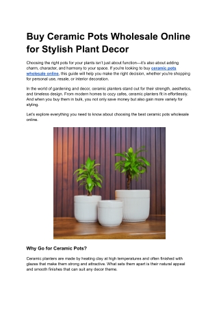 Buy Ceramic Pots Wholesale Online for Stylish Plant Decor