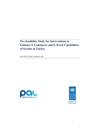 Interventions to Enhance E-Commerce and E-Work Capabilities of Syrians in Turkey