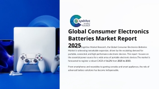 Consumer Electronics Batteries Market Report 2025