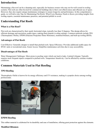 Tips for Maintaining Flat Roofs: What Every Business Needs to Know