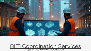 bim coordination services https www siliconec ca