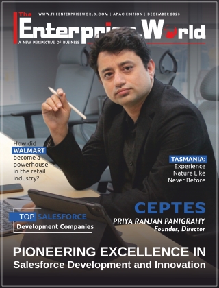 CEPTES: Pioneering Excellence in Salesforce Development and Innovation